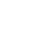 White car outline icon