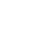 wheel-alignment_light White wheel alignment icon